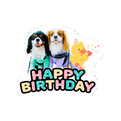 Cavalierkingcharlesspaniel Sticker