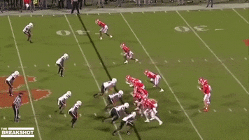 Miami GIF