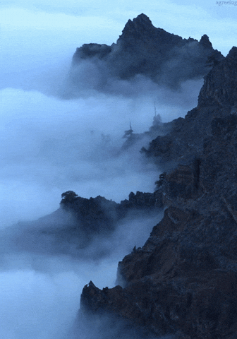 GIF uploaded by Rita