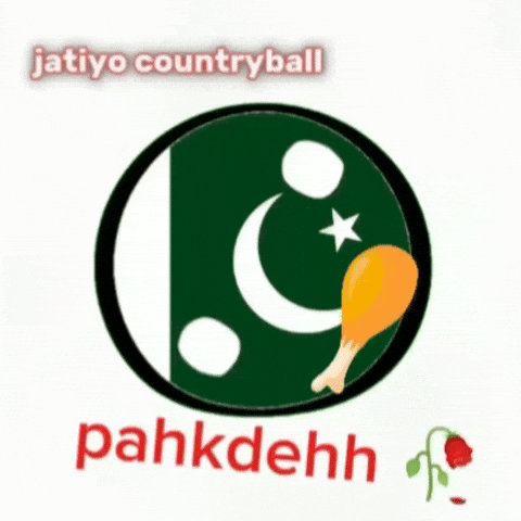 Ball India GIF