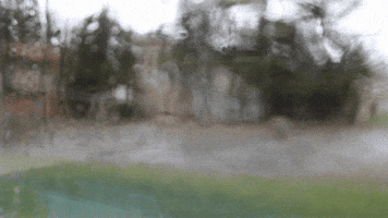 alGORIthm  GIF