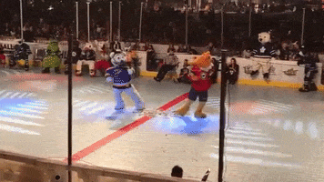 st louis blues dancing GIF by Nordy Wild