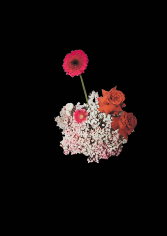 Botany-Green GIF