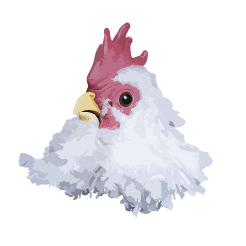 BLIIIDA Sticker