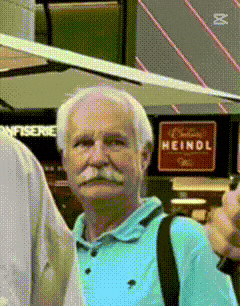 Wtf GIF