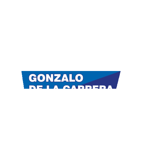 Las Condes Elecciones Sticker by Gonzalo de la Carrera