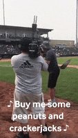 Bill Murray Baseball GIF by Storyful