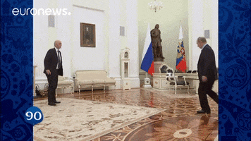 GIF by euronews
