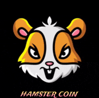 Hamster Coin GIF