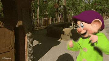 roller coaster dwarfs GIF by Disney Parks