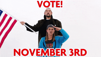 Kevin Smith Vote GIF by SmodCo