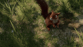 Animated GIF