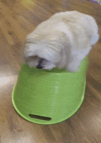 Earthquake Channel Gifs Get The Best Gif On Giphy Earthquake Channel Gifs Get The Best Gif On Giphy