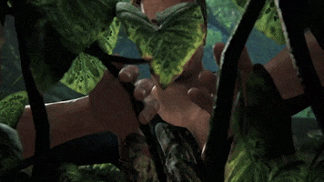 Discover Video Game GIF by Naughty Dog