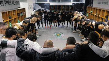 Team GIF by Sporting CP