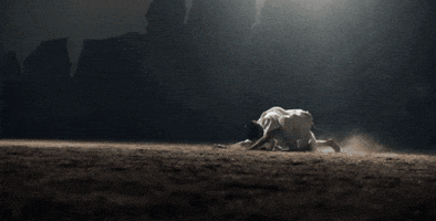 Pounce Beast Mode GIF