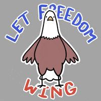 Freedom GIF
