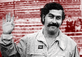 pablo escobar GIF
