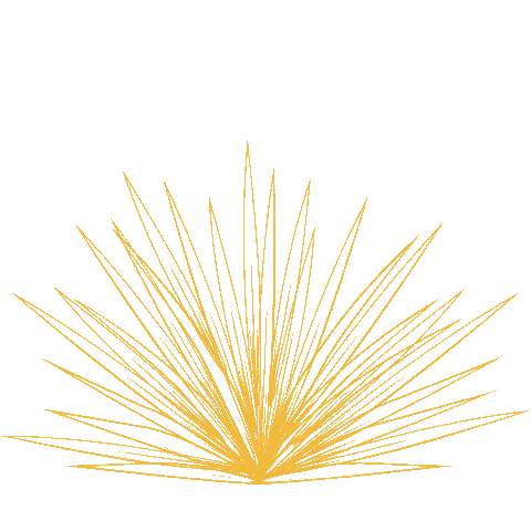 Mezcal Cómplice Sticker