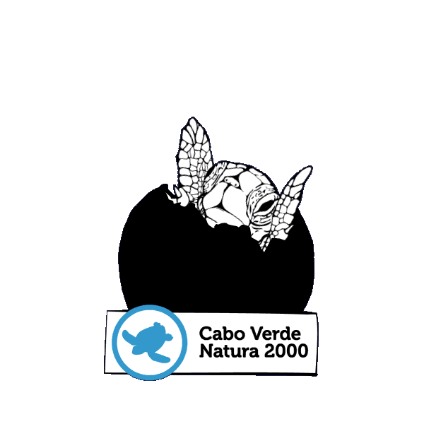 Cabo Verde Natura 2000 GIFs on GIPHY Be Animated