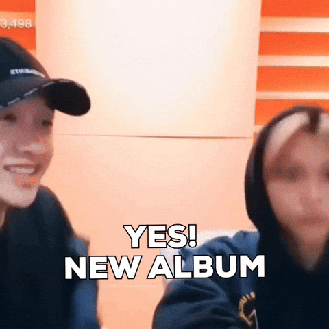 Stray Kids Skz GIF