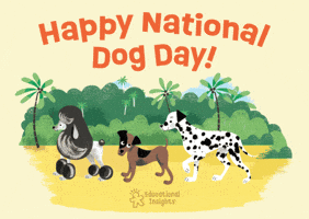 Dog Day Poodle GIF by Educational Insights