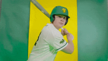 Baseball Bison GIF by NDSU Athletics