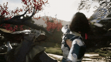 Martial Arts Steam GIF