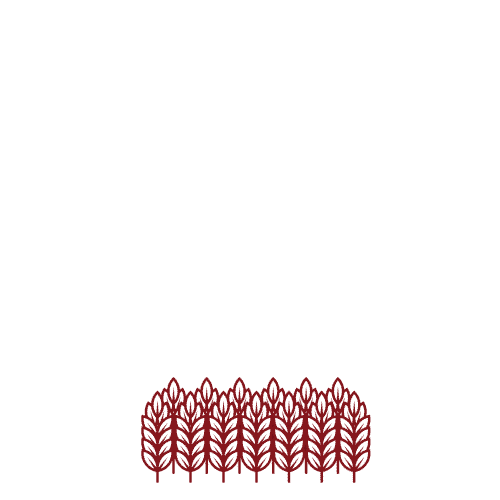 Cereal Abr Sticker by Grupo América