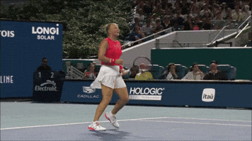 Shnaider GIF