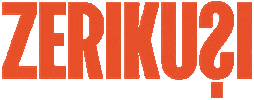 Zer Ikusi Sticker