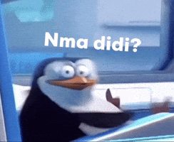 Penguin Didi GIF