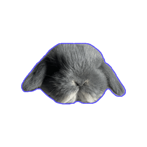 Animated Sticker
