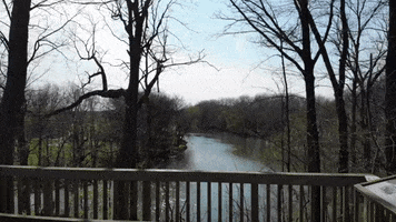 Water River GIF by Conner Prairie
