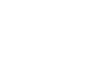 Tacofino Sticker