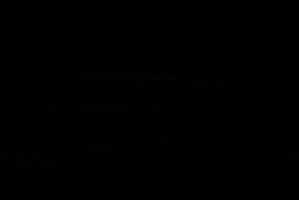 michel klink fotografie GIF