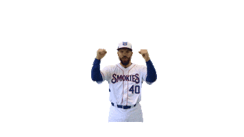 SmokiesBaseball Sticker