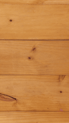 GIF by Sailor Coffee