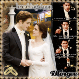 breaking dawn part 1