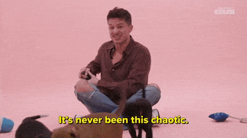Charlie Puth Dog GIF by BuzzFeed