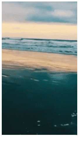 Tommygravenmusic GIF