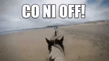 Horse Camping GIF by S4C