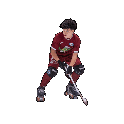 Rollhockey Hockeypatins Sticker by delaaysport