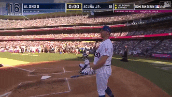 Pete Alonso Sport GIF by MLB