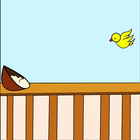 Yellow Bird Animation GIF
