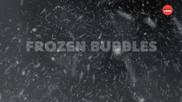 Cold Weather Snow GIF by BuzzFeed