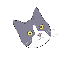 Confused Cat Sticker