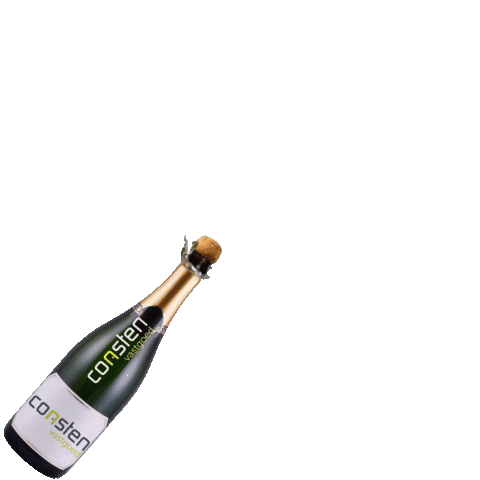 Celebrating Happy New Year Sticker by ConstenVastgoed