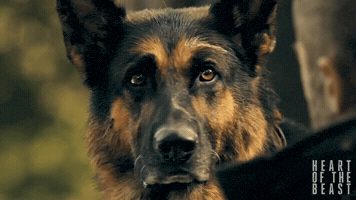 Heart of the Beast GIF