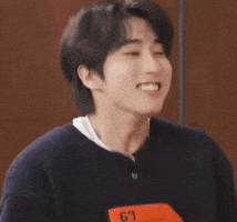 Skz Straykids GIF
